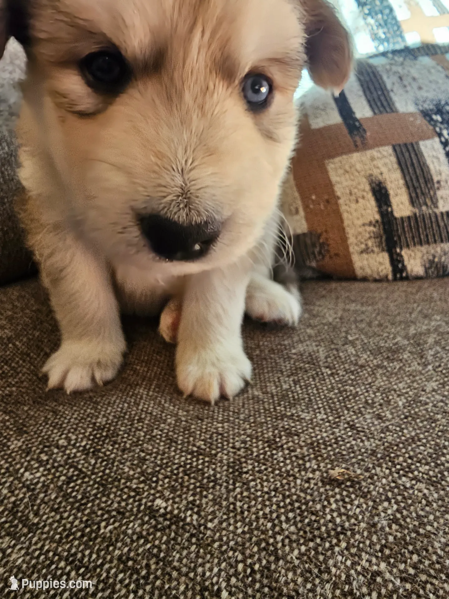 processed/6e6d83fa-828e-459e-b103-c960cb85f73c/listing/249e46d6-603d-4f57-987d-cbed59b38e0a/df250c2a-dab8-42fb-8d2e-8919b495d8f1