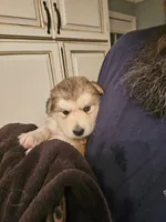 processed/6e6d83fa-828e-459e-b103-c960cb85f73c/listing/249e46d6-603d-4f57-987d-cbed59b38e0a/ee18850f-ae18-4eeb-8382-517764bbaca3