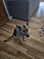 processed/6e6d83fa-828e-459e-b103-c960cb85f73c/listing/98d65970-748f-461c-8d26-9d9b12b67669/376ed97f-f3da-43cc-a4be-a1c3c9eff892