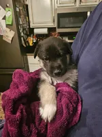 processed/6e6d83fa-828e-459e-b103-c960cb85f73c/listing/98d65970-748f-461c-8d26-9d9b12b67669/3ec03ebb-4bff-4b6e-86c0-b684646d2fa0