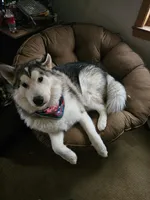 processed/6e6d83fa-828e-459e-b103-c960cb85f73c/listing/98d65970-748f-461c-8d26-9d9b12b67669/88a2b7ab-781a-456d-958e-29fbb12f8ea0