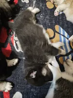 processed/6e6d83fa-828e-459e-b103-c960cb85f73c/listing/98d65970-748f-461c-8d26-9d9b12b67669/9e04c307-0755-41c5-963d-894509754cb6