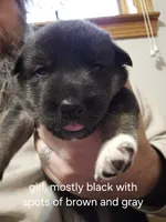 processed/6e6d83fa-828e-459e-b103-c960cb85f73c/listing/98d65970-748f-461c-8d26-9d9b12b67669/c361d93d-6308-44da-aa5c-ed998812f66d