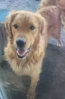 processed/6e73ecb6-50eb-489d-ad31-ea6c8b1790a0/listing/42bd351c-b2ae-4fb7-a3d5-ffb929722fba/917631e3-1f23-4068-a0aa-22d83d615cd9