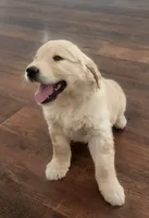 processed/6e73ecb6-50eb-489d-ad31-ea6c8b1790a0/listing/527802f4-012f-476a-8306-4685873d6a77/2ef2b687-198f-4a3c-9342-a73ab8d14e41