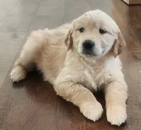 processed/6e73ecb6-50eb-489d-ad31-ea6c8b1790a0/listing/527802f4-012f-476a-8306-4685873d6a77/a81389a5-0825-4c0b-8404-4b9d26c06d0a