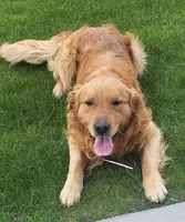 processed/6e73ecb6-50eb-489d-ad31-ea6c8b1790a0/listing/64389f2e-c377-4eb8-94b0-73a85f65d700/ceadc6ec-078e-4ec7-8029-4a8a9679566f