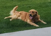 processed/6e73ecb6-50eb-489d-ad31-ea6c8b1790a0/listing/f18b53ee-8b36-4303-8be6-f7b549212236/954a9f2c-9712-45fd-b9d1-da44e83900ee