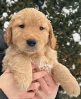 processed/6e73ecb6-50eb-489d-ad31-ea6c8b1790a0/listing/f18b53ee-8b36-4303-8be6-f7b549212236/a0a40511-c60e-4554-bd79-1106701f331d