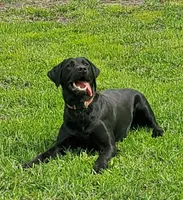 processed/6e795275-4ef6-4853-a072-8c41b44d06cd/facility/306ce6cc-c56a-41f9-93cb-17a35b58a044