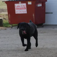 processed/6e795275-4ef6-4853-a072-8c41b44d06cd/facility/4ca1a419-b75b-4002-99d7-96cee6576912