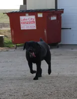 processed/6e795275-4ef6-4853-a072-8c41b44d06cd/facility/4ca1a419-b75b-4002-99d7-96cee6576912