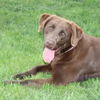 processed/6e795275-4ef6-4853-a072-8c41b44d06cd/facility/5d7330ab-2baf-4d75-893b-c0847d155d47