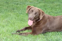 processed/6e795275-4ef6-4853-a072-8c41b44d06cd/facility/5d7330ab-2baf-4d75-893b-c0847d155d47