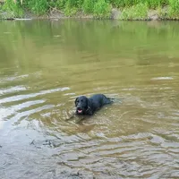 processed/6e795275-4ef6-4853-a072-8c41b44d06cd/facility/7e345ac3-a1b7-426a-84b9-cc732ac972f6