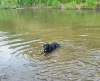 processed/6e795275-4ef6-4853-a072-8c41b44d06cd/facility/7e345ac3-a1b7-426a-84b9-cc732ac972f6