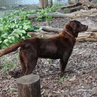 processed/6e795275-4ef6-4853-a072-8c41b44d06cd/facility/8e0aec22-2a5a-4984-a072-d53ee88406a3