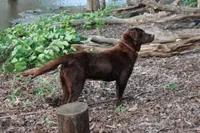 processed/6e795275-4ef6-4853-a072-8c41b44d06cd/facility/8e0aec22-2a5a-4984-a072-d53ee88406a3