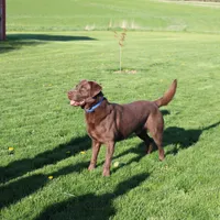 processed/6e795275-4ef6-4853-a072-8c41b44d06cd/facility/e1f3e327-ac11-4748-8524-b4c53b1cdb93