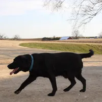 processed/6e795275-4ef6-4853-a072-8c41b44d06cd/facility/f40996d4-de52-46c2-a1d0-a0c37b812446