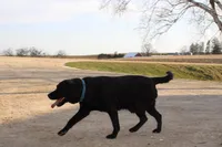 processed/6e795275-4ef6-4853-a072-8c41b44d06cd/facility/f40996d4-de52-46c2-a1d0-a0c37b812446