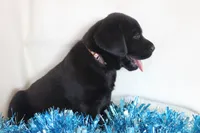 processed/6e795275-4ef6-4853-a072-8c41b44d06cd/listing/b6eb27cc-b87e-4826-8914-d3c30dac3ef5/001f6d24-1118-491d-8a34-8f2cbfef7514