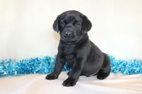 processed/6e795275-4ef6-4853-a072-8c41b44d06cd/listing/b6eb27cc-b87e-4826-8914-d3c30dac3ef5/0ef2ac8c-84de-4134-9baf-da6526976ce8