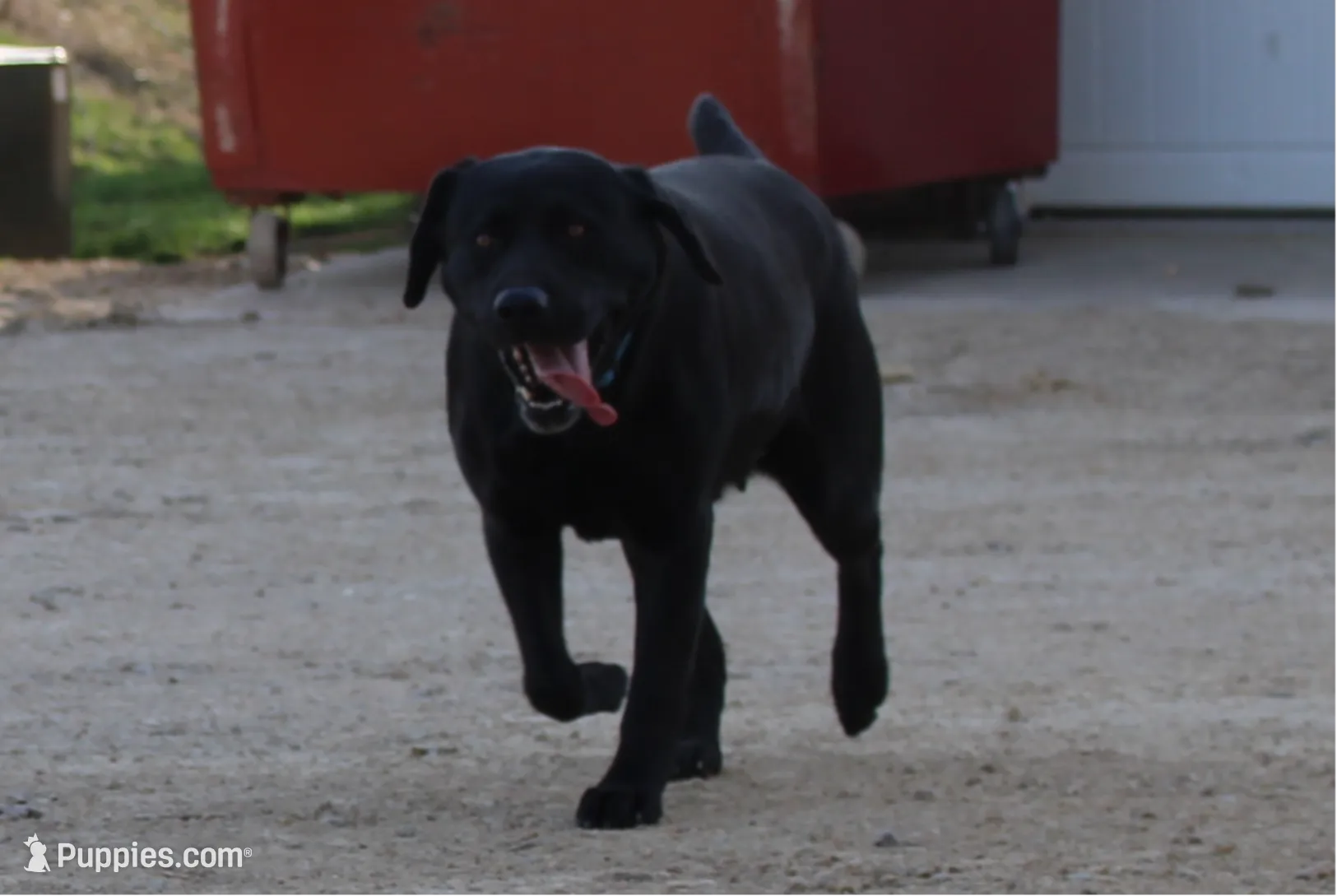 processed/6e795275-4ef6-4853-a072-8c41b44d06cd/listing/b6eb27cc-b87e-4826-8914-d3c30dac3ef5/21be6987-41d0-406c-9c58-73573f0df55d