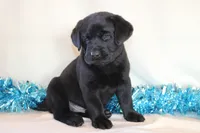 processed/6e795275-4ef6-4853-a072-8c41b44d06cd/listing/b6eb27cc-b87e-4826-8914-d3c30dac3ef5/3bc99569-47ae-40f6-9139-2d25d778890c