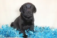 processed/6e795275-4ef6-4853-a072-8c41b44d06cd/listing/b6eb27cc-b87e-4826-8914-d3c30dac3ef5/509a5ccb-b591-498b-b23d-e330f80fc5c0