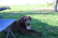 processed/6e795275-4ef6-4853-a072-8c41b44d06cd/listing/b6eb27cc-b87e-4826-8914-d3c30dac3ef5/9cf300b5-a209-463e-bd14-ef8187b92add