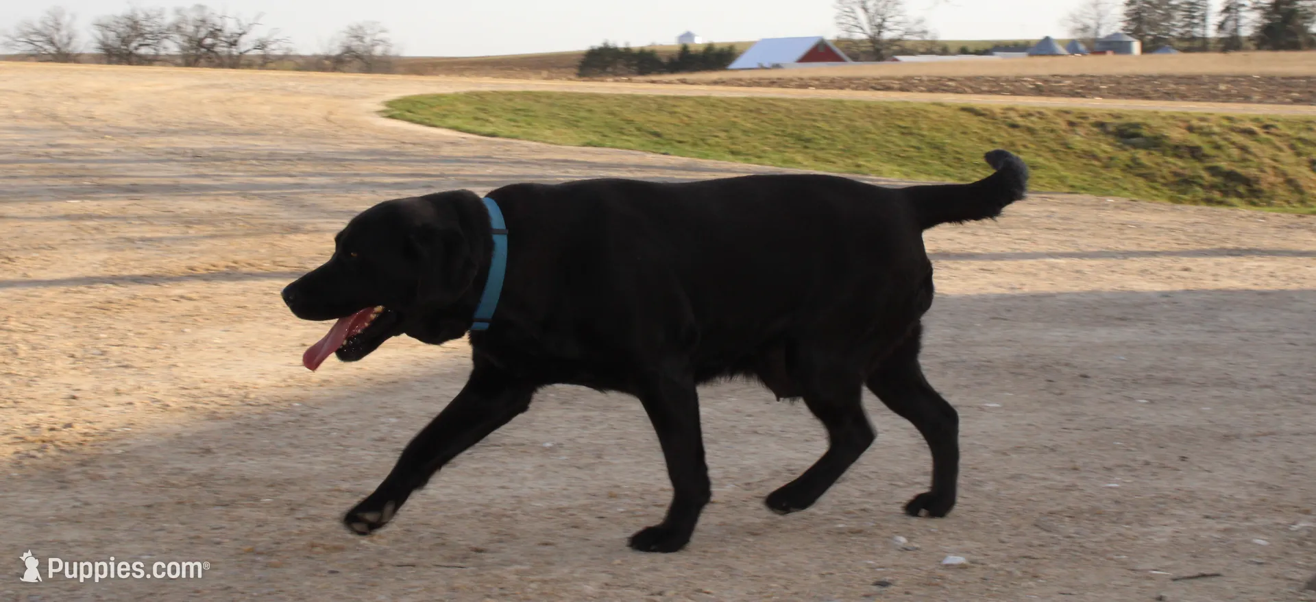 processed/6e795275-4ef6-4853-a072-8c41b44d06cd/listing/b6eb27cc-b87e-4826-8914-d3c30dac3ef5/f89b500b-0127-4a3c-b055-ef1edeb873ce