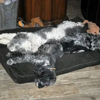 processed/6e91618c-c563-4edd-8ca8-691061a52aa9/facility/0e7ca8f4-0260-4eaf-9d0e-211f050d8e1e