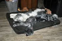 processed/6e91618c-c563-4edd-8ca8-691061a52aa9/facility/0e7ca8f4-0260-4eaf-9d0e-211f050d8e1e