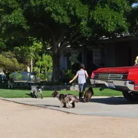 processed/6e91618c-c563-4edd-8ca8-691061a52aa9/facility/3d74e806-80a5-4a6b-8ab0-bcb9114d8cf9