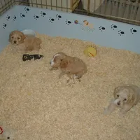 processed/6e91618c-c563-4edd-8ca8-691061a52aa9/facility/b56597c7-04c5-42df-ae88-5427ab3bd69d