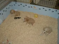 processed/6e91618c-c563-4edd-8ca8-691061a52aa9/facility/b56597c7-04c5-42df-ae88-5427ab3bd69d