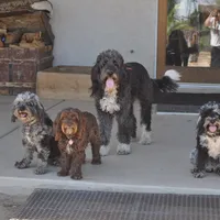 processed/6e91618c-c563-4edd-8ca8-691061a52aa9/facility/d05eab7f-5496-4d82-8d42-20dd8dd14d16