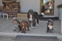 processed/6e91618c-c563-4edd-8ca8-691061a52aa9/facility/d05eab7f-5496-4d82-8d42-20dd8dd14d16