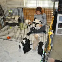 processed/6e91618c-c563-4edd-8ca8-691061a52aa9/facility/e357e2b1-9338-4590-a9d8-5aa0b35cffaf