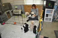 processed/6e91618c-c563-4edd-8ca8-691061a52aa9/facility/e357e2b1-9338-4590-a9d8-5aa0b35cffaf