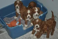 processed/6e91618c-c563-4edd-8ca8-691061a52aa9/listing/0bd966c9-eecb-4985-a37e-77c5ec7034f1/4f72b7a9-e3d4-4c4b-8c95-4a7c56523923