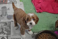 processed/6e91618c-c563-4edd-8ca8-691061a52aa9/listing/f063b1bf-a8cc-4dba-aa44-d9e8c1aac437/c7ef3c00-fe2c-44c7-a738-9921b696c2e2