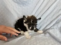 processed/6e932d8e-919e-4f84-9ee2-fe0aee7ba0a1/listing/1a876442-7c51-41fc-9013-6437593a7799/f54f59c4-825a-4cfb-a5f2-8c1e90c15518