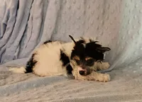 processed/6e932d8e-919e-4f84-9ee2-fe0aee7ba0a1/listing/7f3f8b56-a668-4b2d-adc9-bc87f7cfd8b0/a6b67da9-a096-43e3-a743-ca80e285fa8e