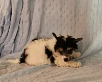 processed/6e932d8e-919e-4f84-9ee2-fe0aee7ba0a1/listing/7f3f8b56-a668-4b2d-adc9-bc87f7cfd8b0/cd94f957-0746-4078-a56a-ca451d2851cc