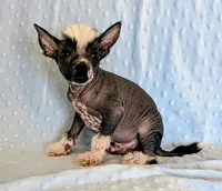 processed/6e932d8e-919e-4f84-9ee2-fe0aee7ba0a1/listing/bfba0450-dbd0-4b2c-890a-1fab367ecf77/062ff907-e840-432d-be02-1a7d6b997f27