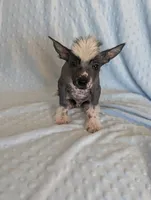 processed/6e932d8e-919e-4f84-9ee2-fe0aee7ba0a1/listing/bfba0450-dbd0-4b2c-890a-1fab367ecf77/653d98dd-7c68-4642-816e-c6f5f2696d80