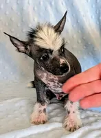 processed/6e932d8e-919e-4f84-9ee2-fe0aee7ba0a1/listing/bfba0450-dbd0-4b2c-890a-1fab367ecf77/74610b6d-fc5c-4c5d-8463-69b1faf9d6a9