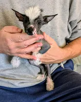 processed/6e932d8e-919e-4f84-9ee2-fe0aee7ba0a1/listing/bfba0450-dbd0-4b2c-890a-1fab367ecf77/addc636e-fee2-4be8-a72f-d7c39a8418e0